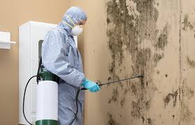 Biohazard Mold Removal in Cooper City, FL